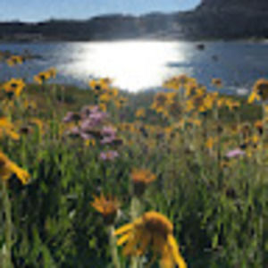 Meet your Posher, Valerie